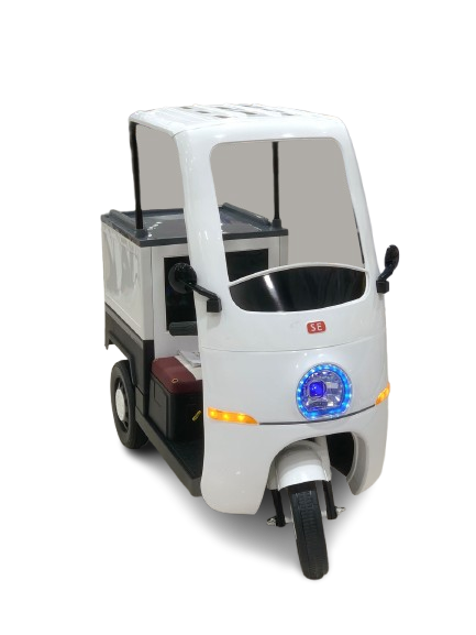 KIDS REMOTE CONTROLLED ELECTRIC RICKSHAW